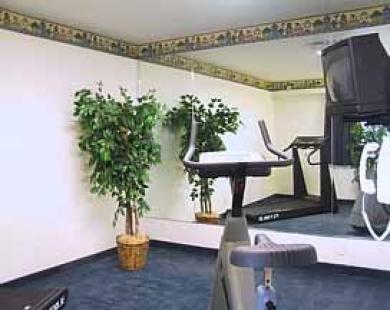 San Mateo Sfo Airport Hotel 設備 写真